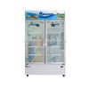 Tủ mát 2 cánh quạt lạnh sưởi kính PL-1200F