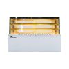 Tủ bánh kem để bàn BigCool 1m2 WS-T104