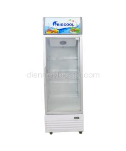 Tủ mát 1 cánh sấy kính BigCool CL-600F