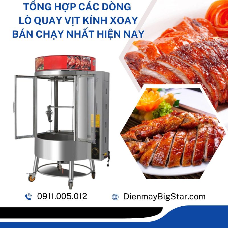 lò quay vịt kính xoay